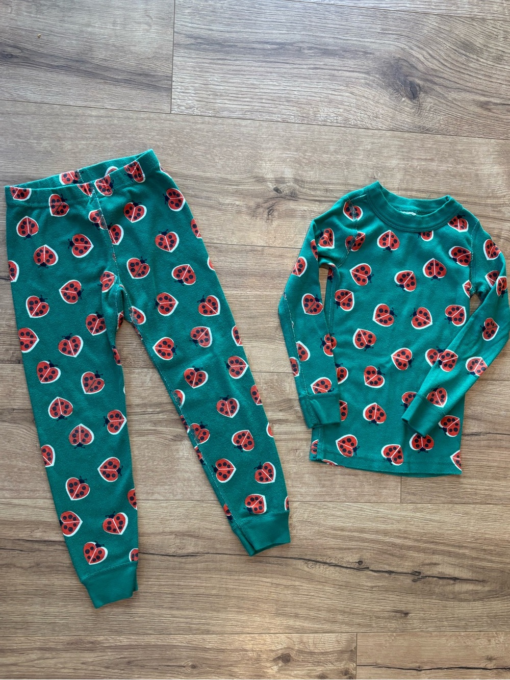 Hanna Andersson Long John Pajama Set Green Ladybug Heart Print Kid Size 4/100 cm